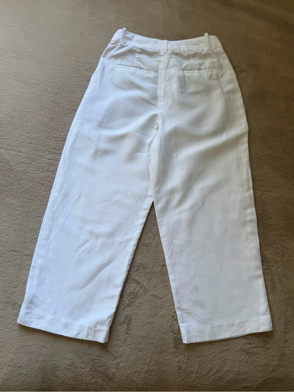 Aritzia The Effortless Pant White Linen Lyocell Wide Leg Pleated Pants